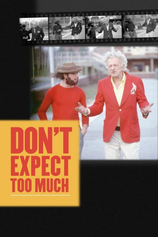 Don't Expect Too Much [OV] (2011)